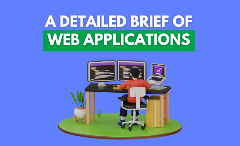 A Detailed Brief of Web Application Development